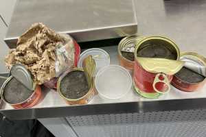 ФТС: в багаже пассажира из Индии обнаружено восемь консервных банок с гашишем