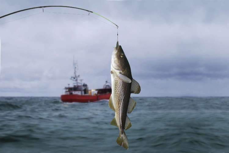 Генпрокуратура потребовала изменить правила рыболовства для Дальнего Востока