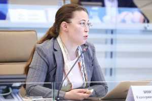 Екатерина Зиновьева: В Московской области большим спросом пользуется программа «Земля за 1 рубль»