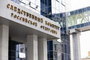 Бастрыкин поручил разобраться с атаками на системы онлайн-голосования