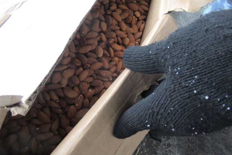 42 тонны миндальных орехов по поддельным документам из Казахстана не попали на территорию России