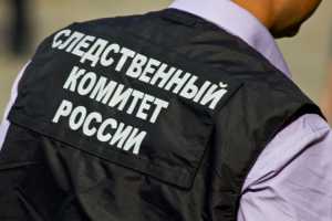 Лидера «Ореховской» ОПГ приговорили к длительному сроку лишения свободы