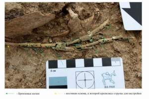 На Тамани найдены остатки редких древнегреческих музыкальных инструментов