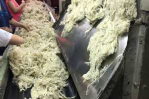 Хакасская компания «Сибвул» экспортировала в Китай восемь контейнеров овечьей шерсти